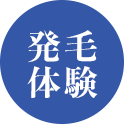 発毛体験