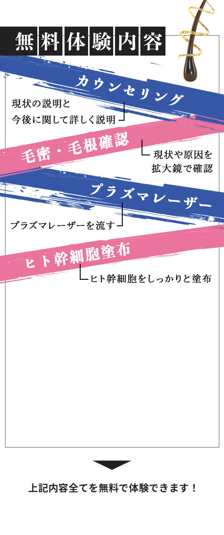無料体験内容 カウンセリング 毛密・毛根確認 プラズマレーザー ヒト幹細胞塗布